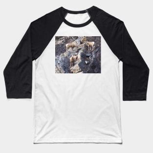 Bighorn Sheep Baseball T-Shirt